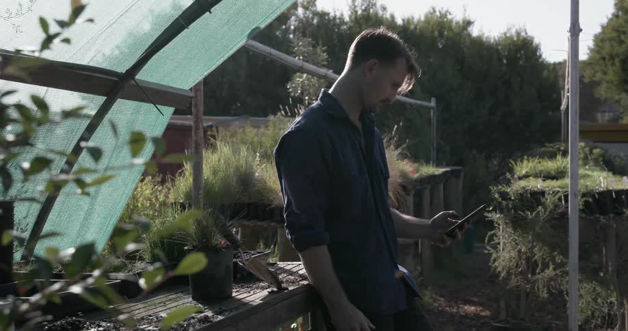 Man uses a phone while standing in an outdoor nursery