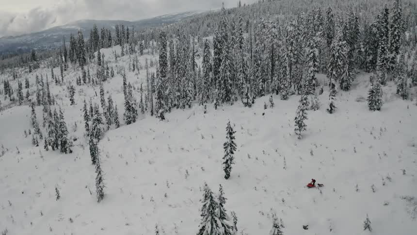 Person snowmobiling through the woods