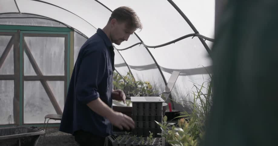 People are working in the greenhouse