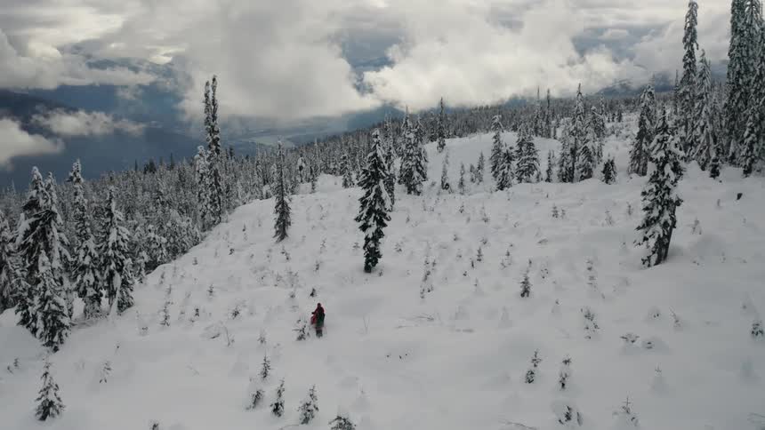 The hills are covered with snow and many trees