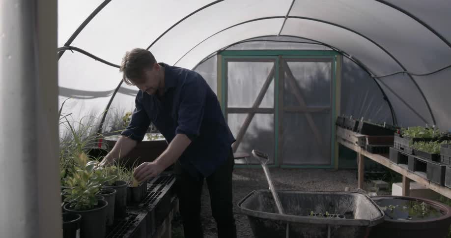 A man checks his plants before placing some in a wheelbarrow