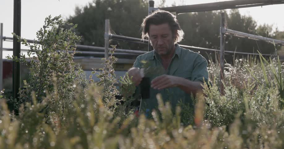 A man works in a garden