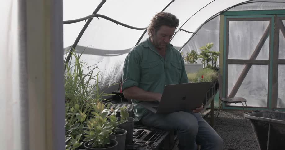 A man is using a laptop in his greenhouse