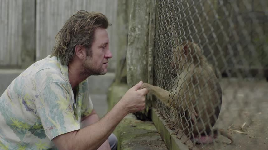 A man holds a monkey's paw through a cage