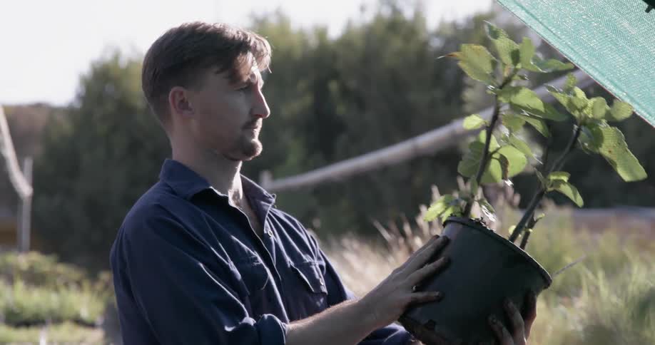 A man is working in the garden