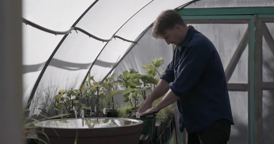 A man is planting in a pot in his greenhouse
