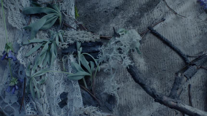 The persons shirt is covered in branches and dirt