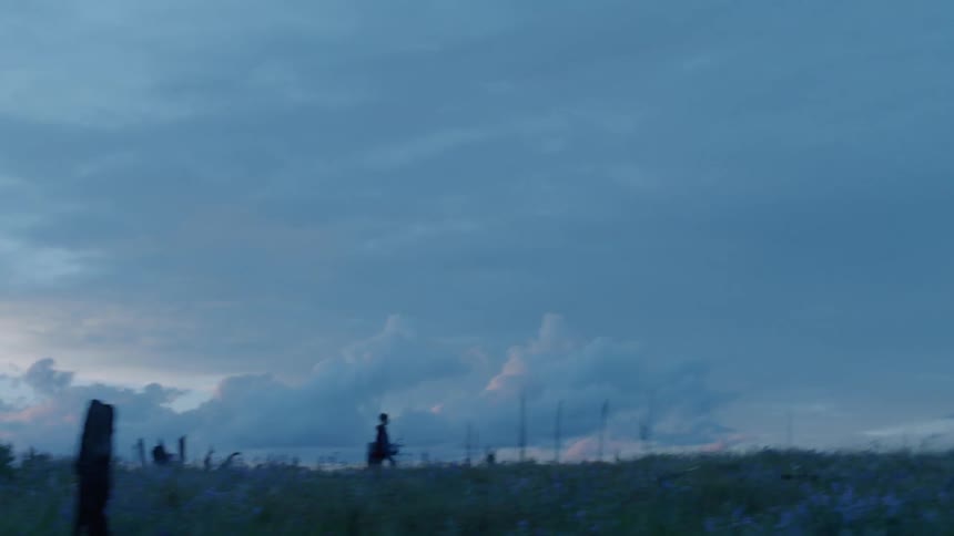 Person walking through a field at sunset