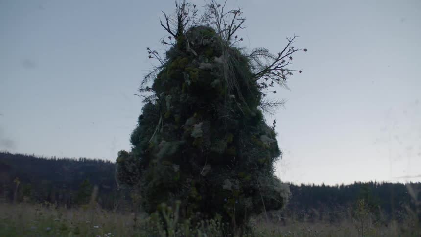 Tree like monster walks through a field