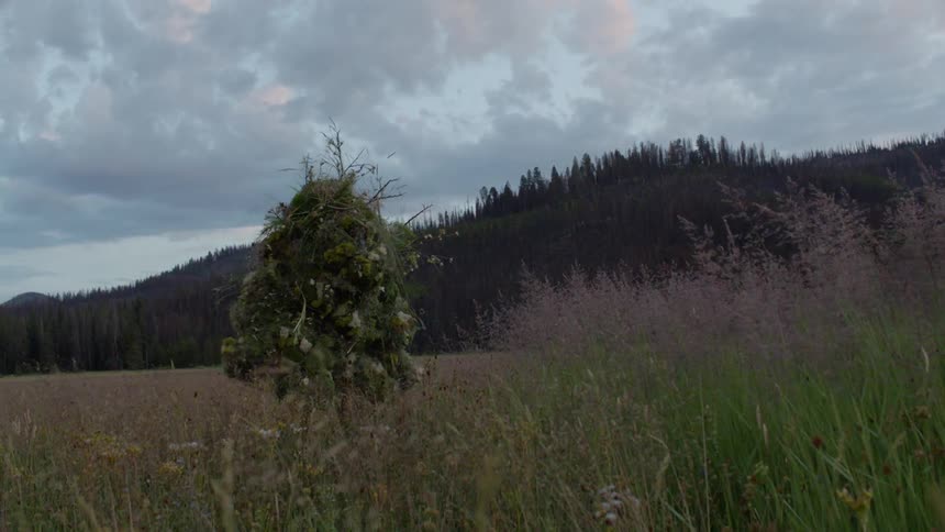 A man in camouflage is slowly moving through the grass