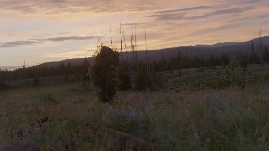 The person in camouflage slowly walks at sunset