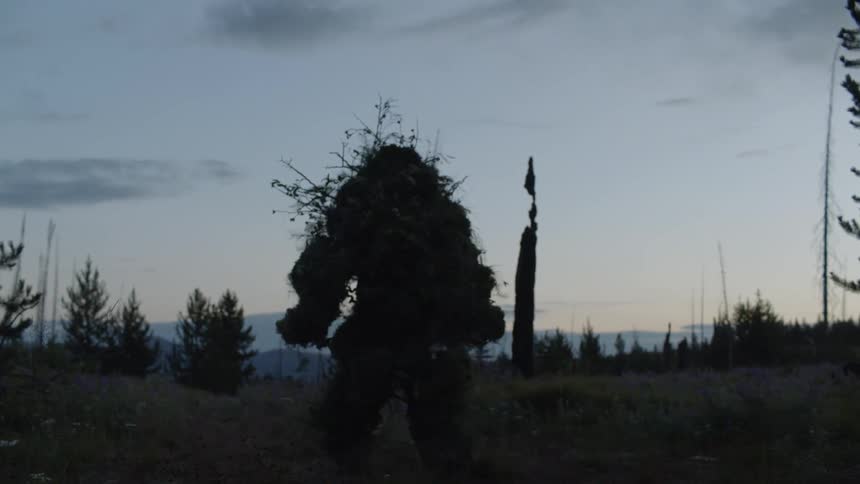 A man covered in camouflage is walking across the field