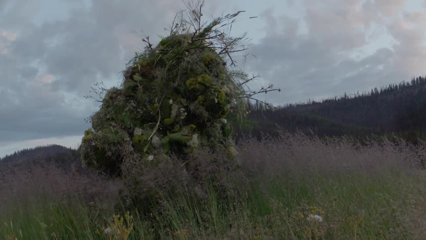 Person covered in vegetation walking through a field