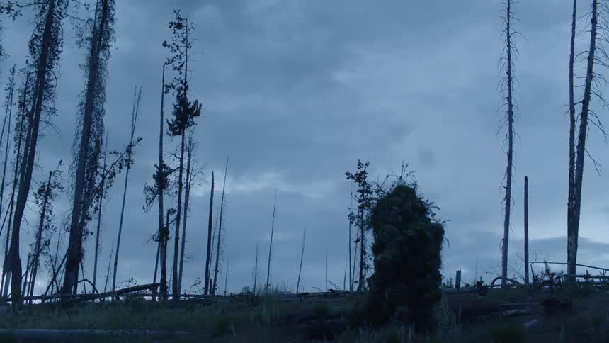Monster looking like a tree walks under a cloudy sky