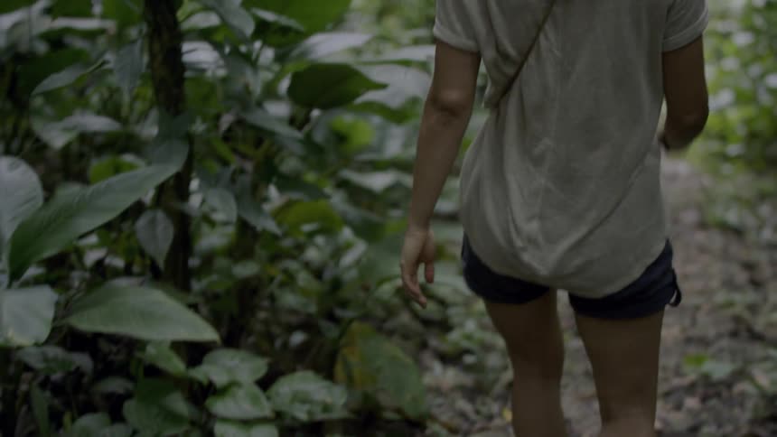 A woman walks in a forest
