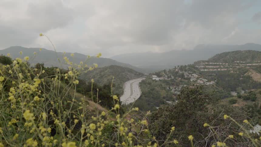 Shrubs and grass cover the mountain landscape