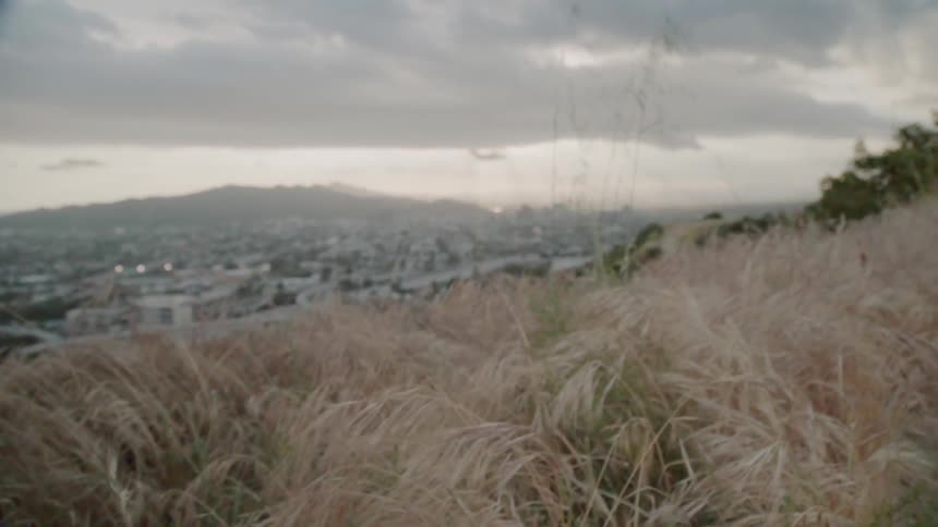 Grass and plants cover the hilly landscape