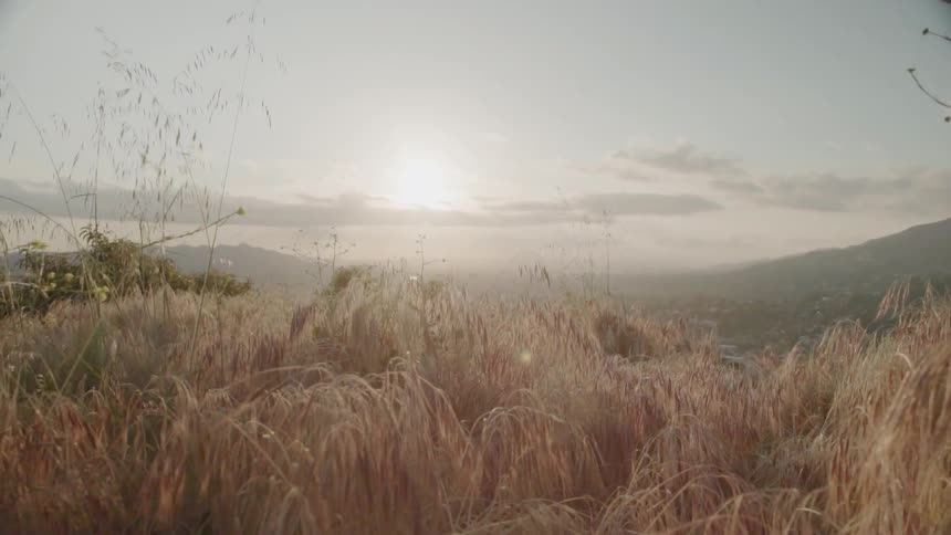 Sunlight shines on a rural grassy field