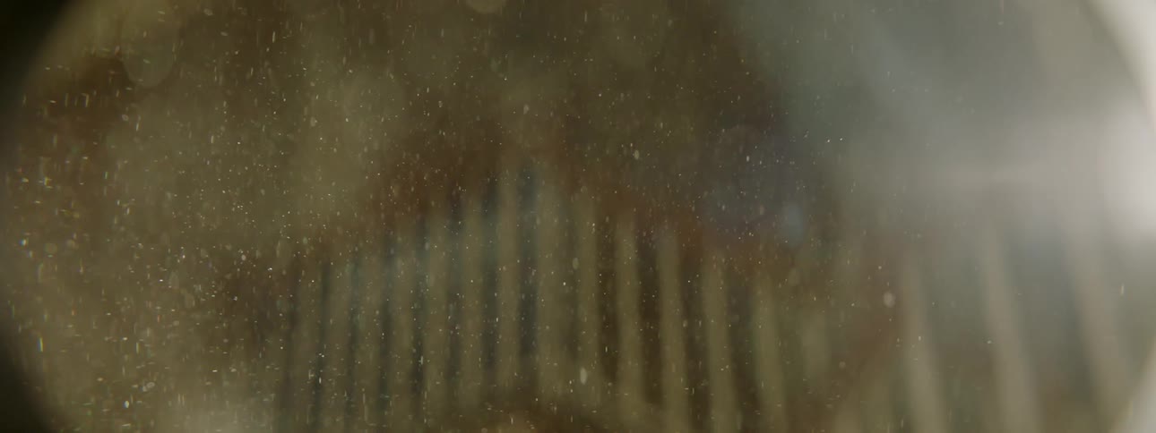 Particles float in water