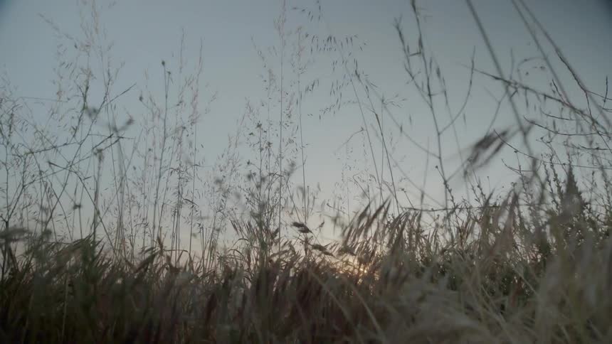 The sun sets over a grassy hill