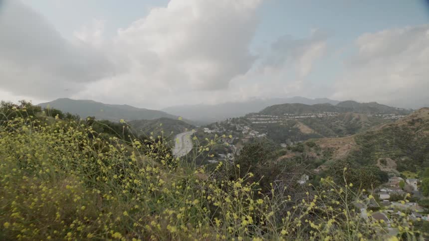 Shrubs and grass cover the mountain landscape