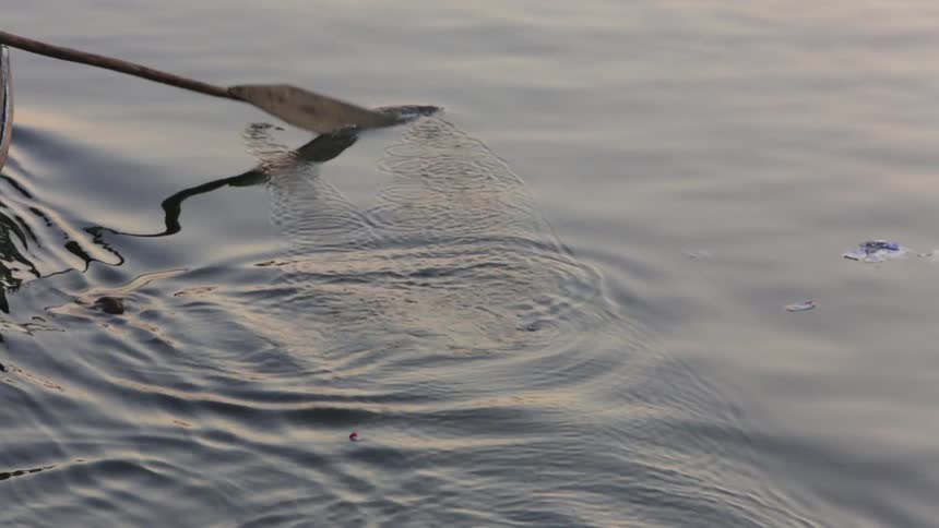 Someone is paddling their boat