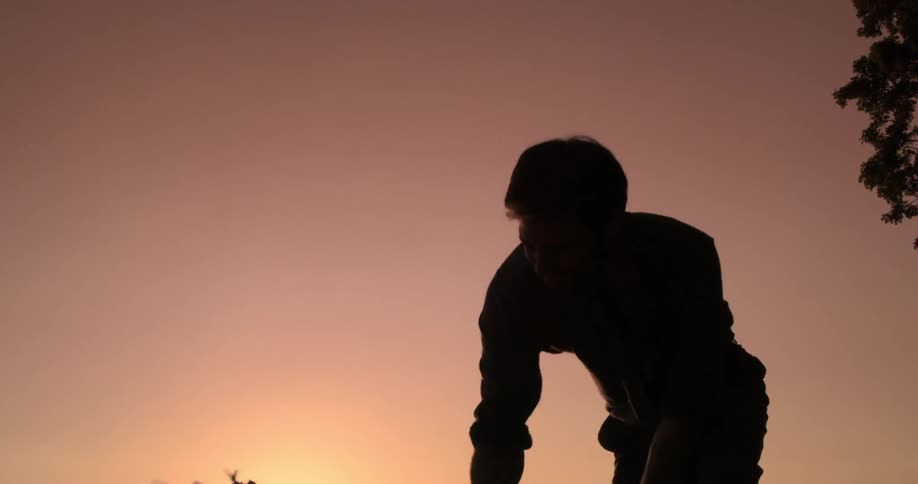 A man using an ax at sunset