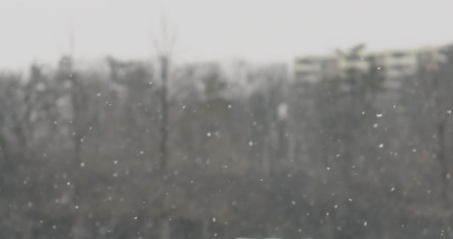 Snow falls in slow motion