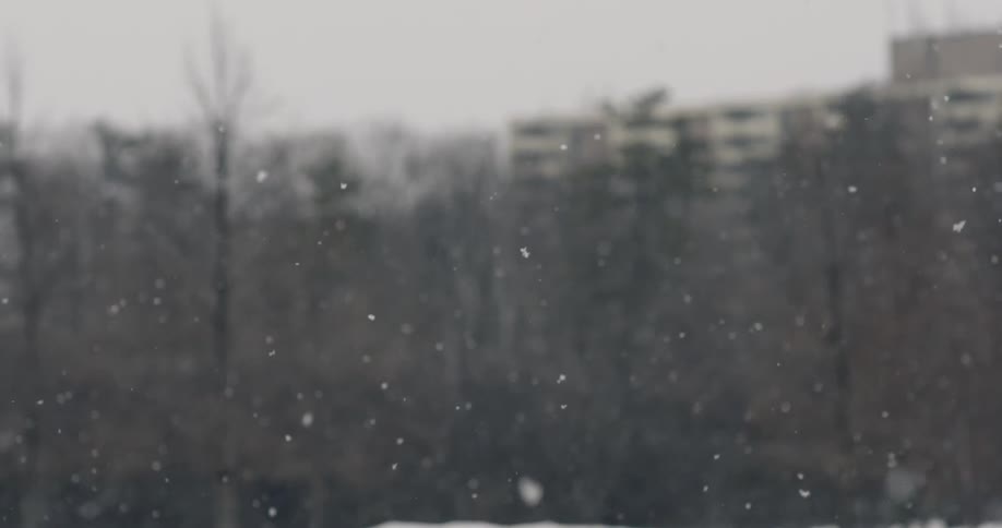 Close up view of snowflakes falling with building and trees in the background