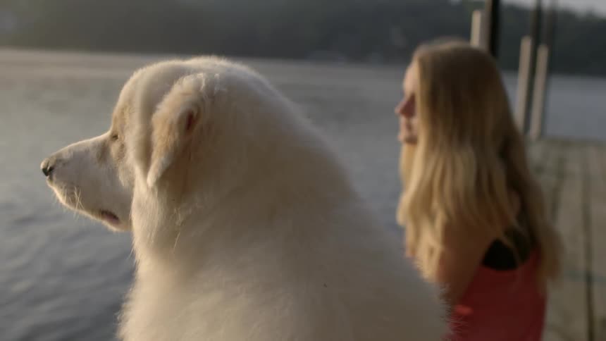 A dog and woman sit on a dock
