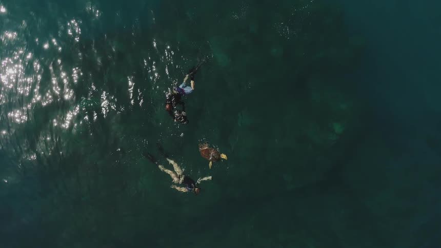 People swim in a large body of water