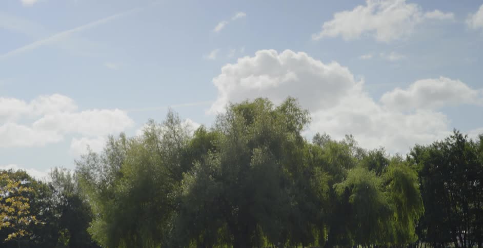 Green grass and trees with a blue sky and white clouds