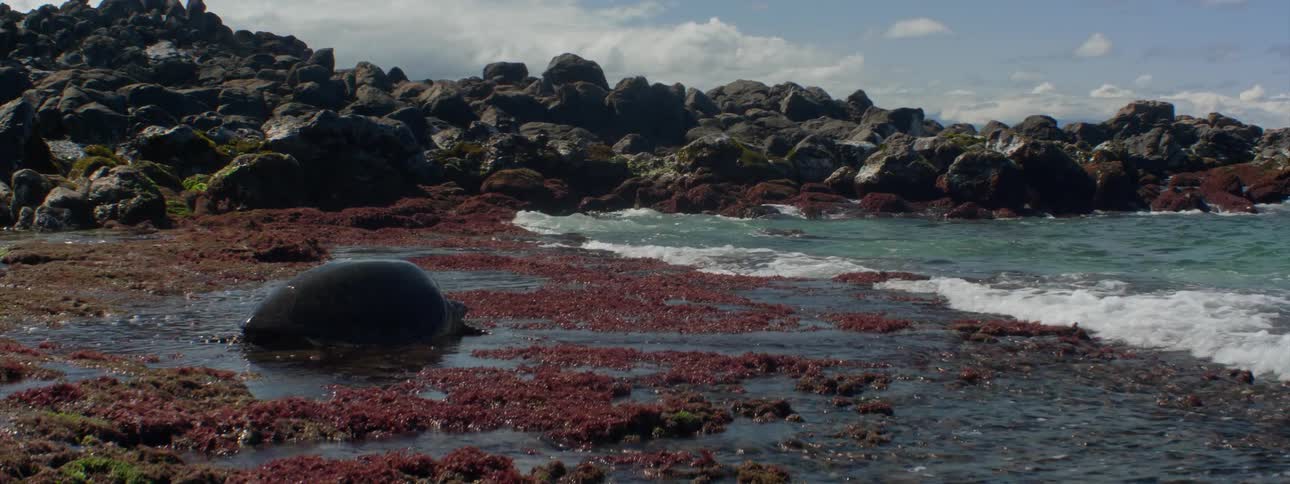 The tide flows onto the rocky beach shore