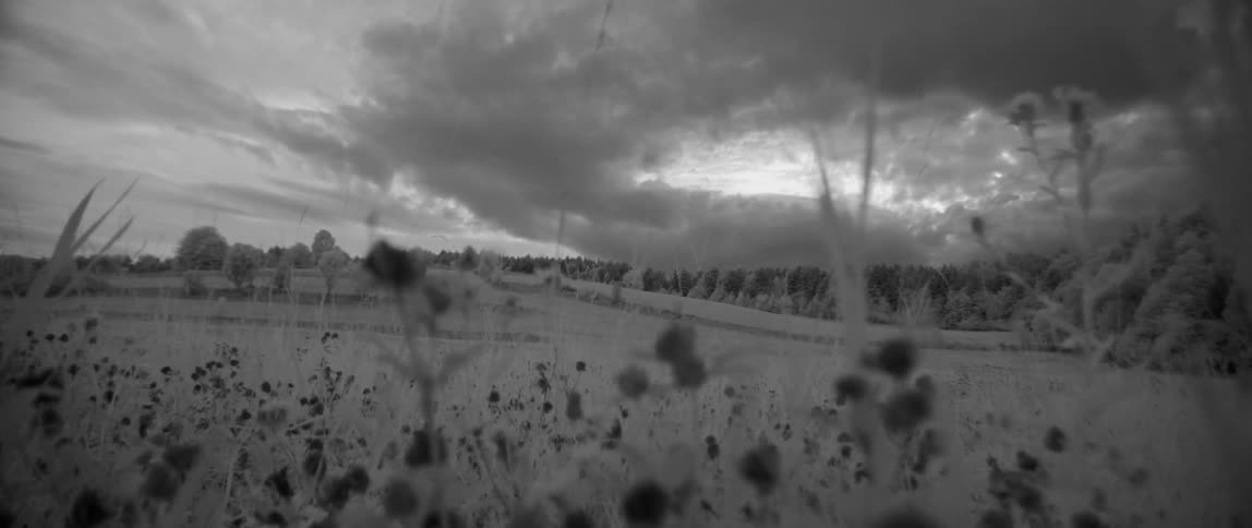 Clouds roll overhead of grassy plains