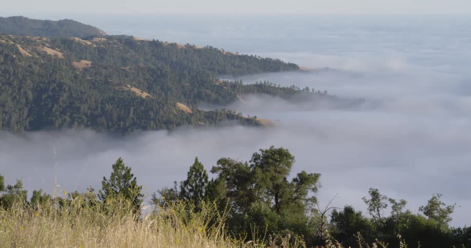 Clouds float near the base of a mountain