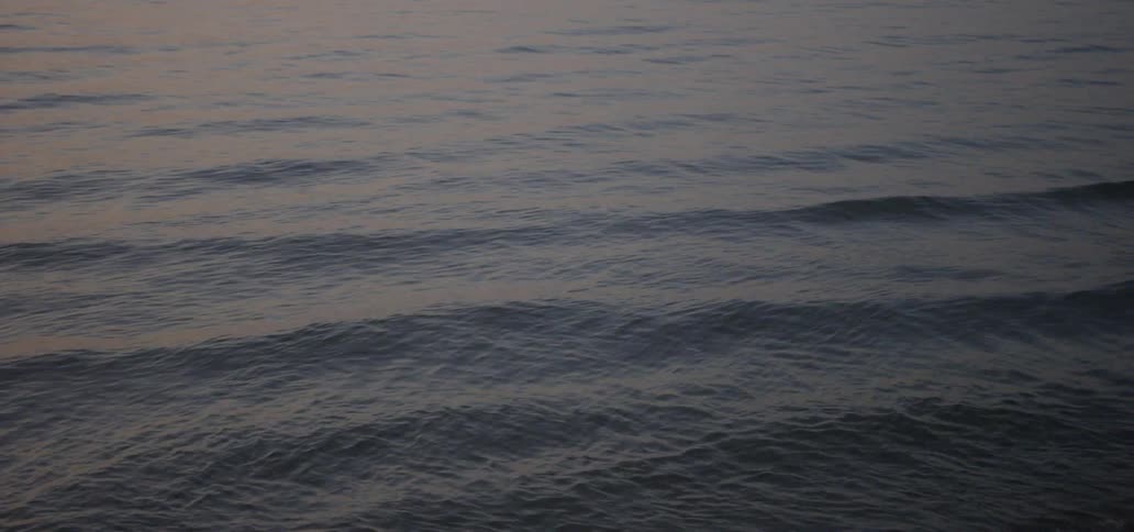 Sunlight reflects on the water surface