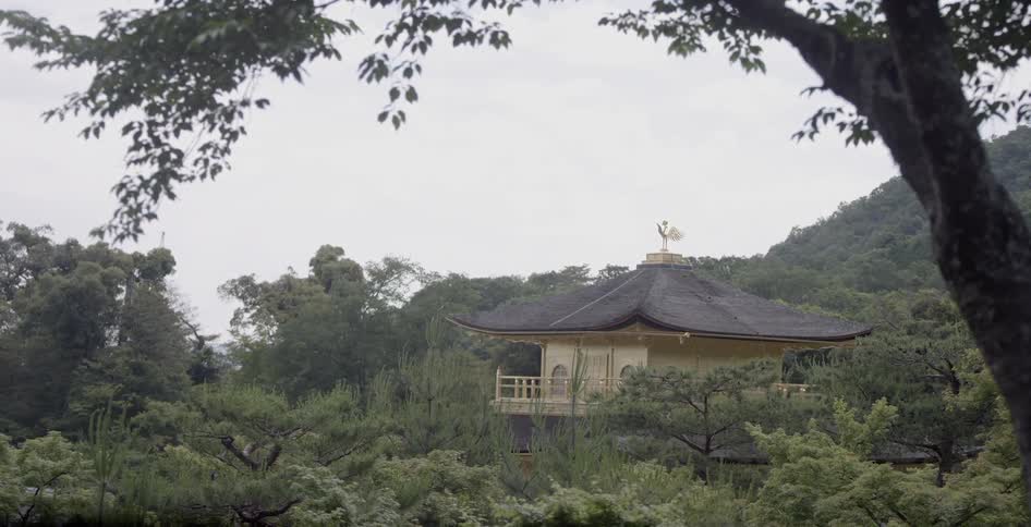 Bushes surround a small building under a cloudy sky
