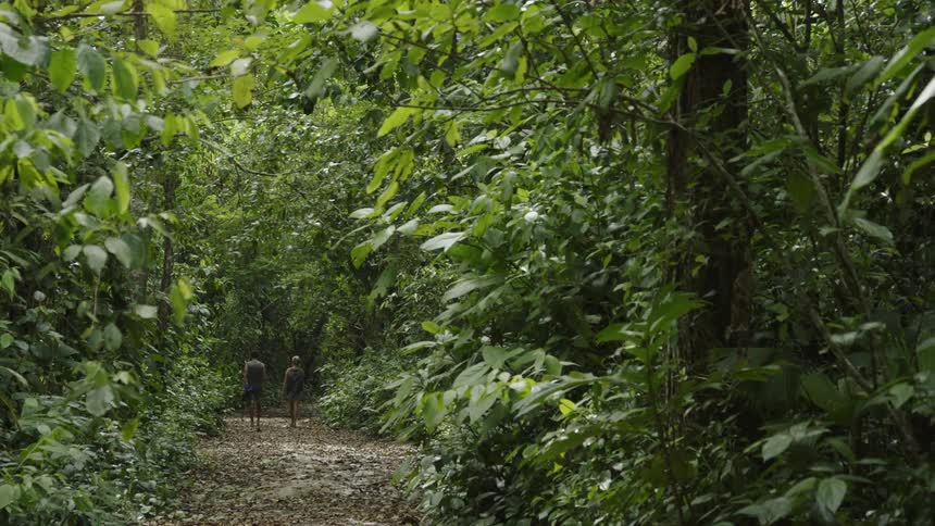Two people are hiking in the forest