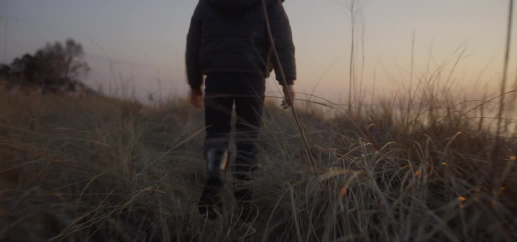 Child walks through tall grass at sunset