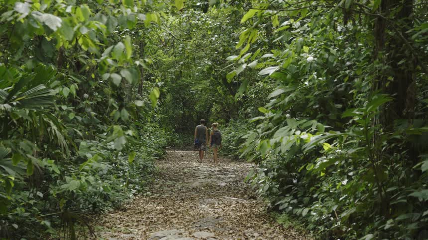 Two people hike into the forest together