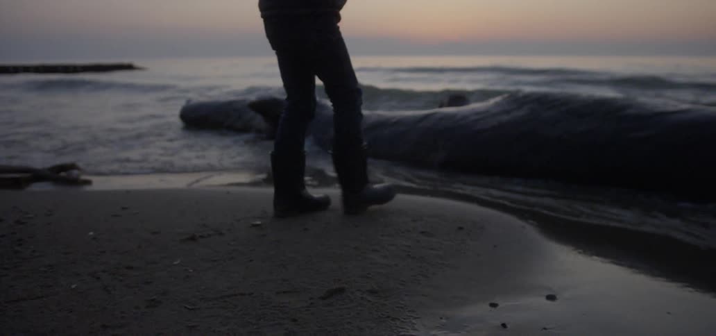 Child stands at the edge of a beach at sunset