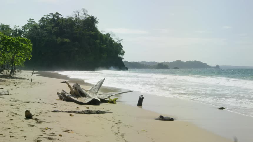 Ocean waves wash ashore a sandy beach
