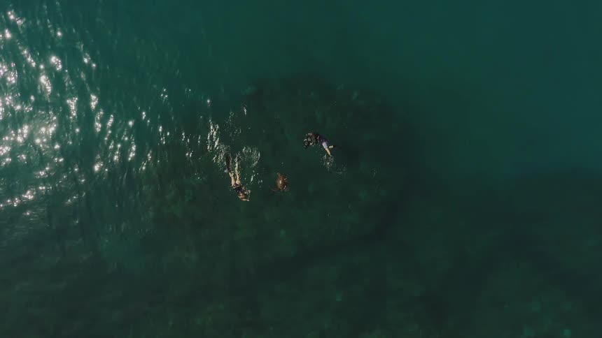 Snorkelers swim in the ocean