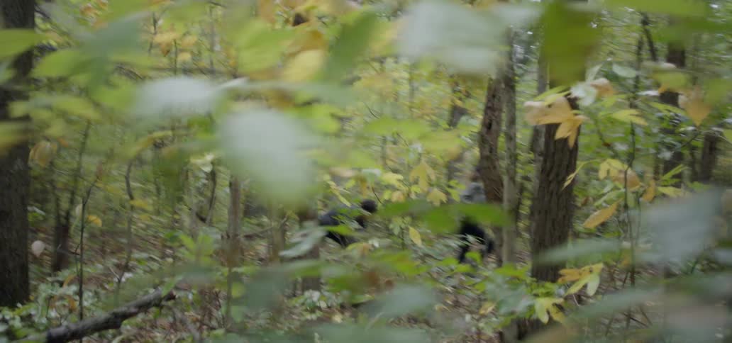 Two people run through the woods