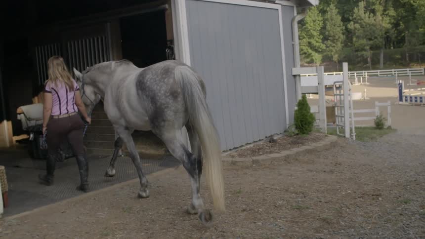 A woman leading a horse into a barn