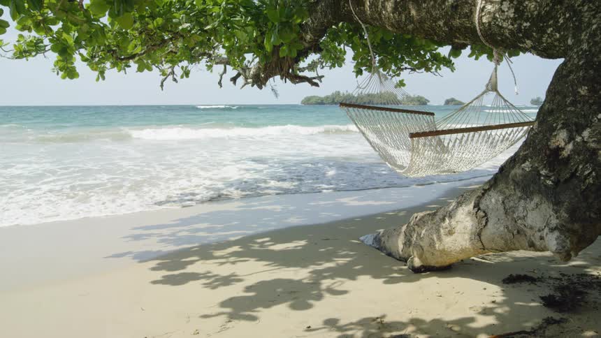 Hammock sways in the wind on the beach