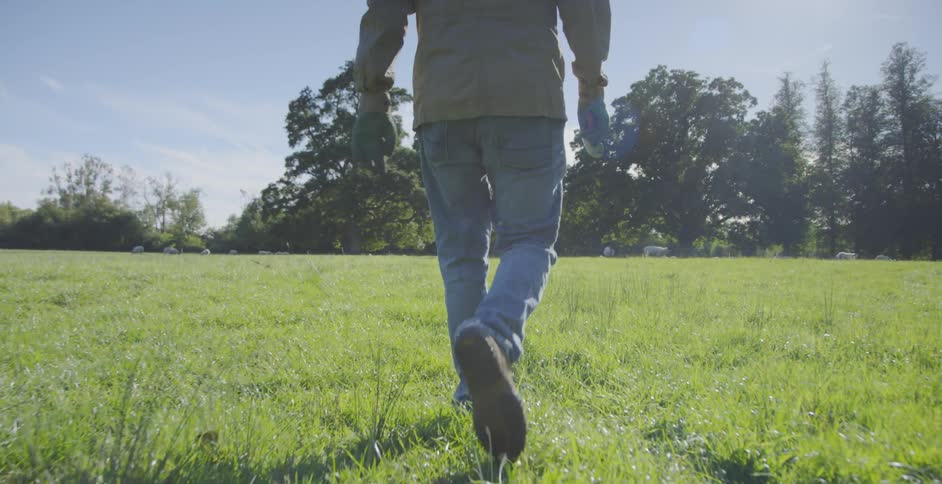 Man walks through a grassy field
