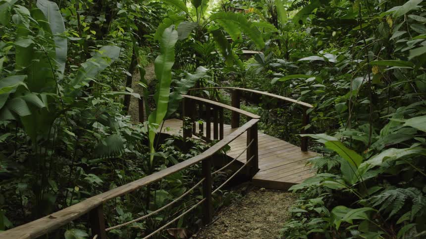 A small bridge in a forest at day time