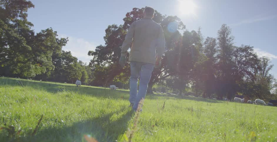 A man walks in a grassy field