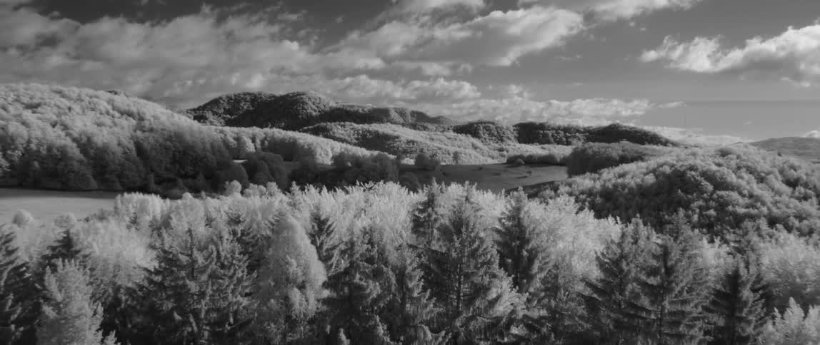 Tree covered hilly plains with clouds overhead